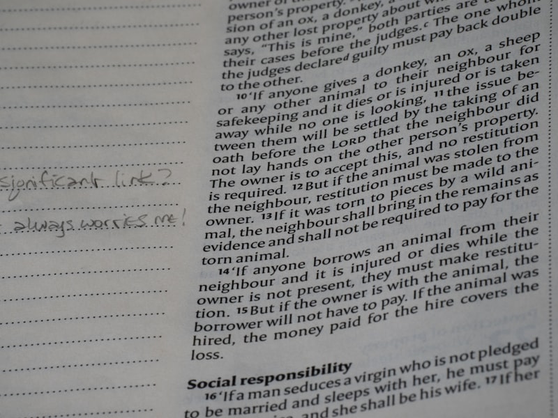 Close-up of a page from a book with handwritten notes.