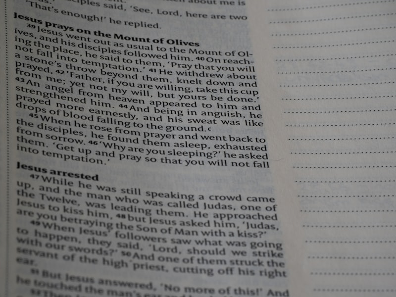 A close up of a book with text on it