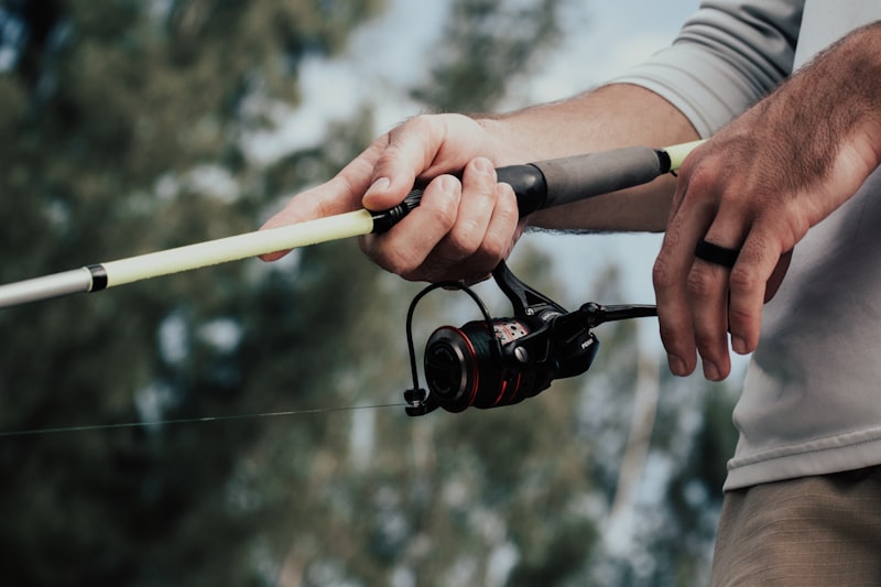 person holding brown and black fishing rod