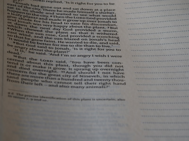 a close up of a text on a book