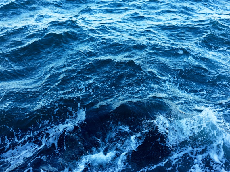 A view of a body of water from a boat